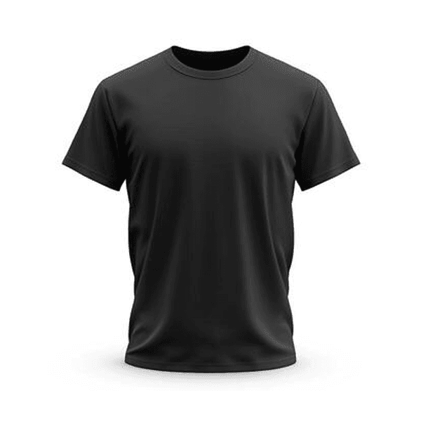 Mens Premium Blank T-shirt - Black